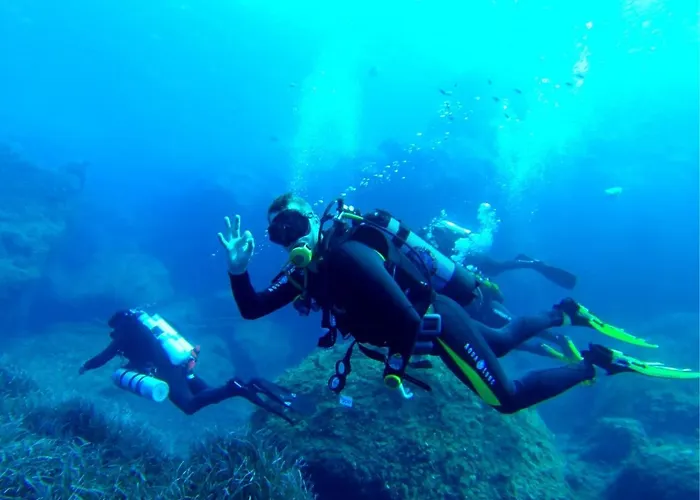 Family By Buena Vista Appartamento